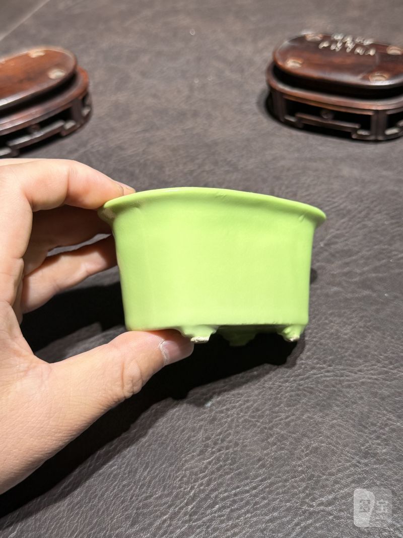 十八世纪 秋葵绿釉菖蒲盆一对（原配红木底座） - 图15